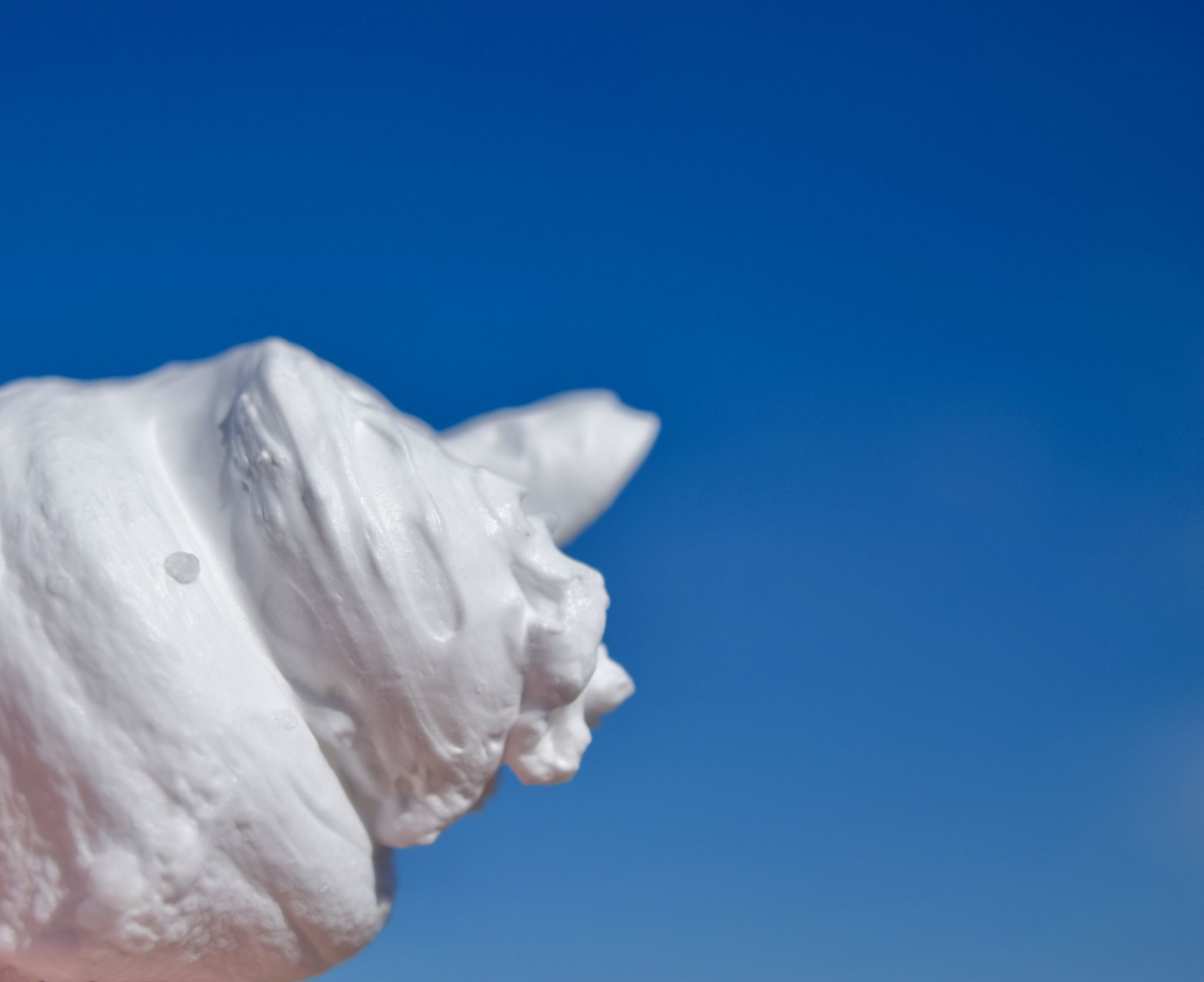 Ouai Haircare Dry Foam Shampoo* The Luxe List