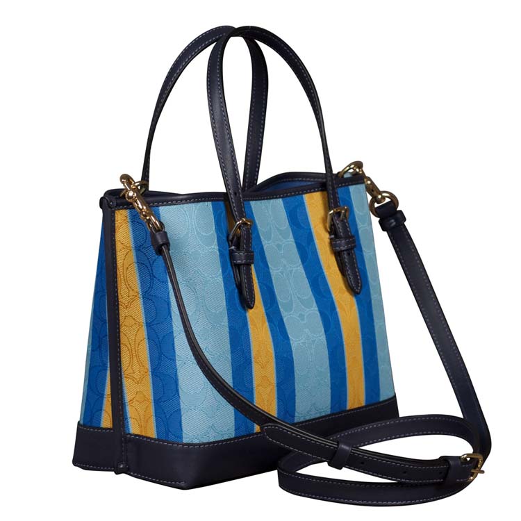 Coach Signature Striped Mollie 25 Satchel at Luxe Purses