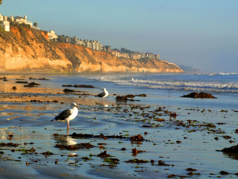 Solana Beach Attractions LuxeVaca