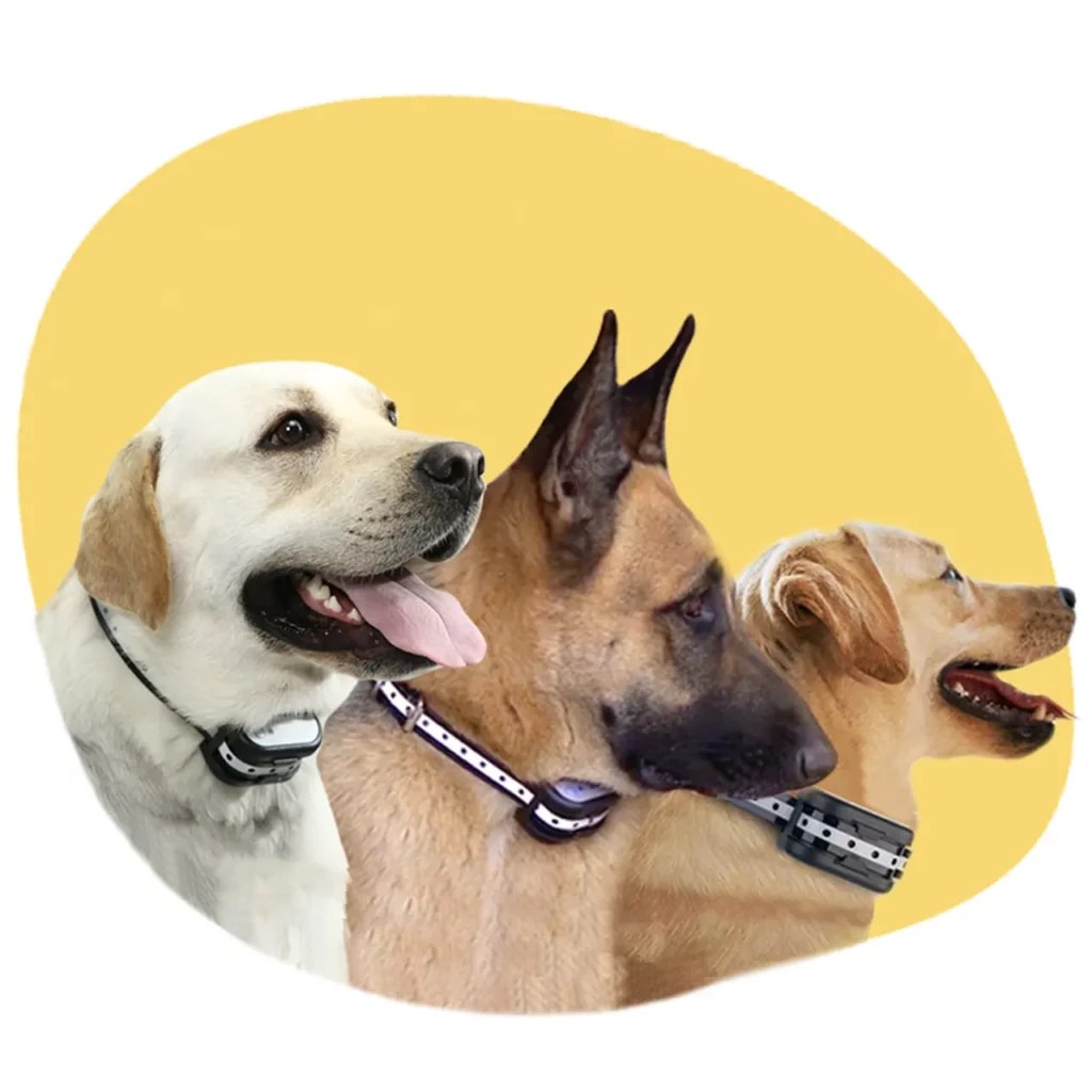 Luxipaws®️ Wireless Dog Fence & Training Collar Dog Containment