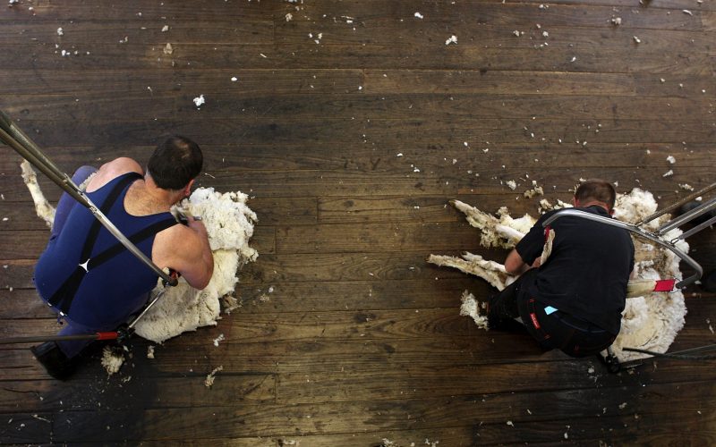 Bruce Hall Net Worth Wiki, Age, Weight and Height, Relationships