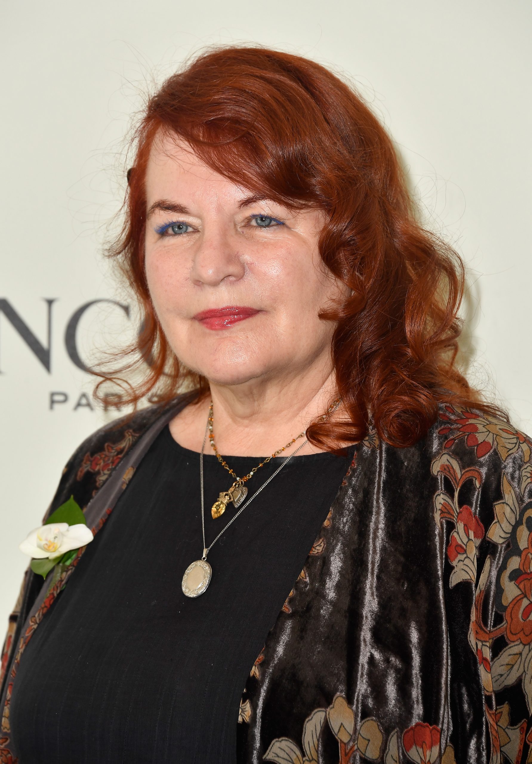 Allison Anders Net Worth - Wiki, Age, Weight and Height, Relationships