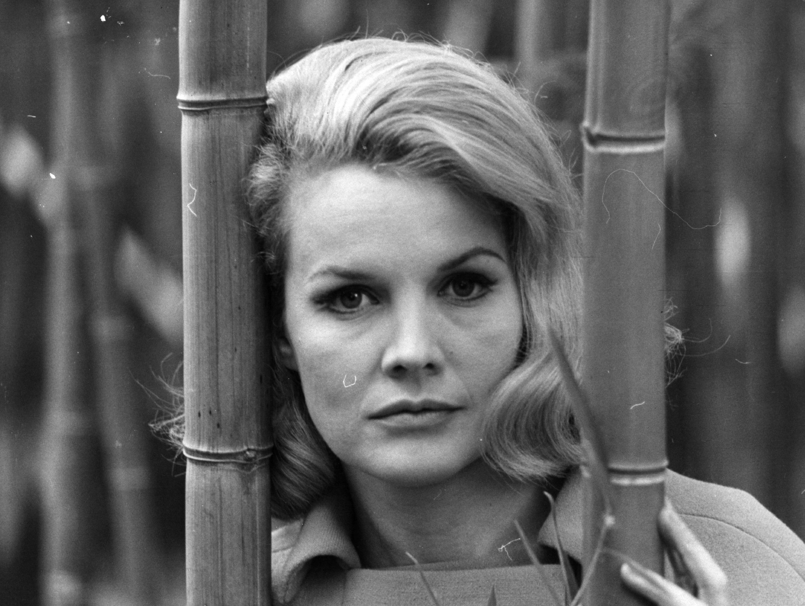 Carroll Baker Net Worth in 2023 Wiki, Age, Weight and Height