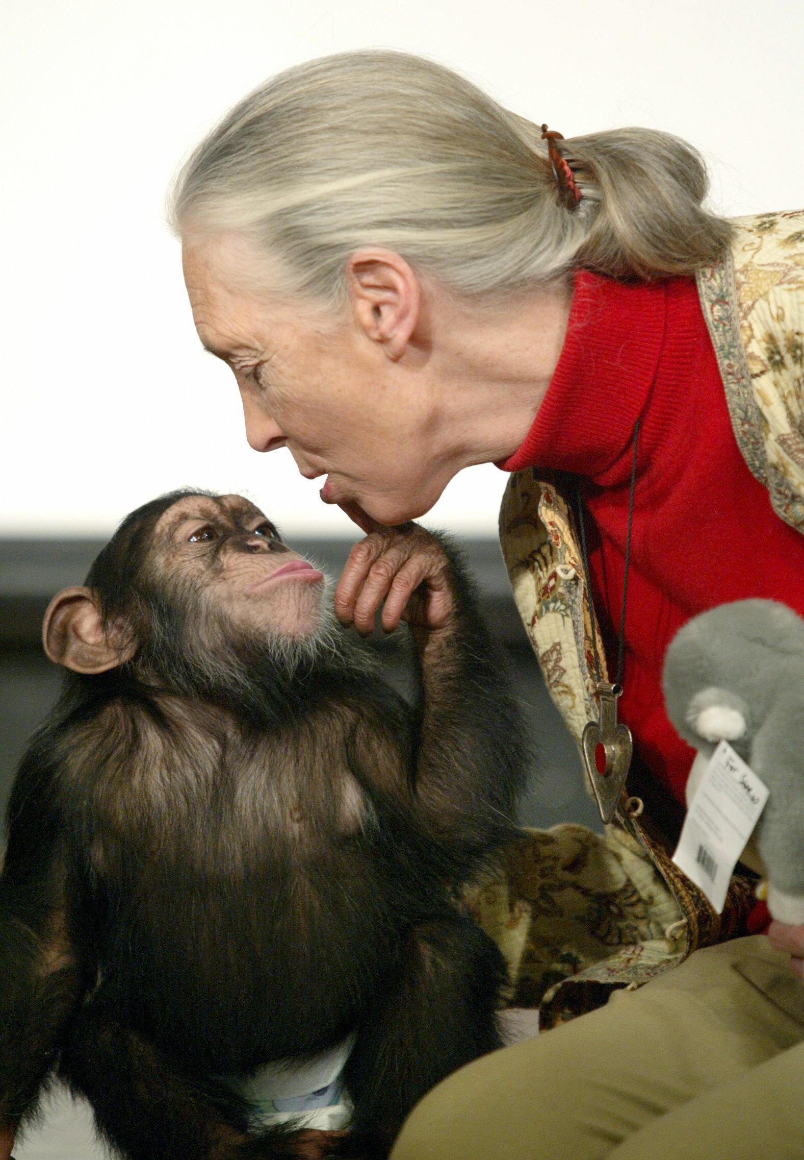 Jane Goodall Net Worth 2025 Today And Then Jane Goodall Net Worth Wiki, Age, Weight and Height, Relationships