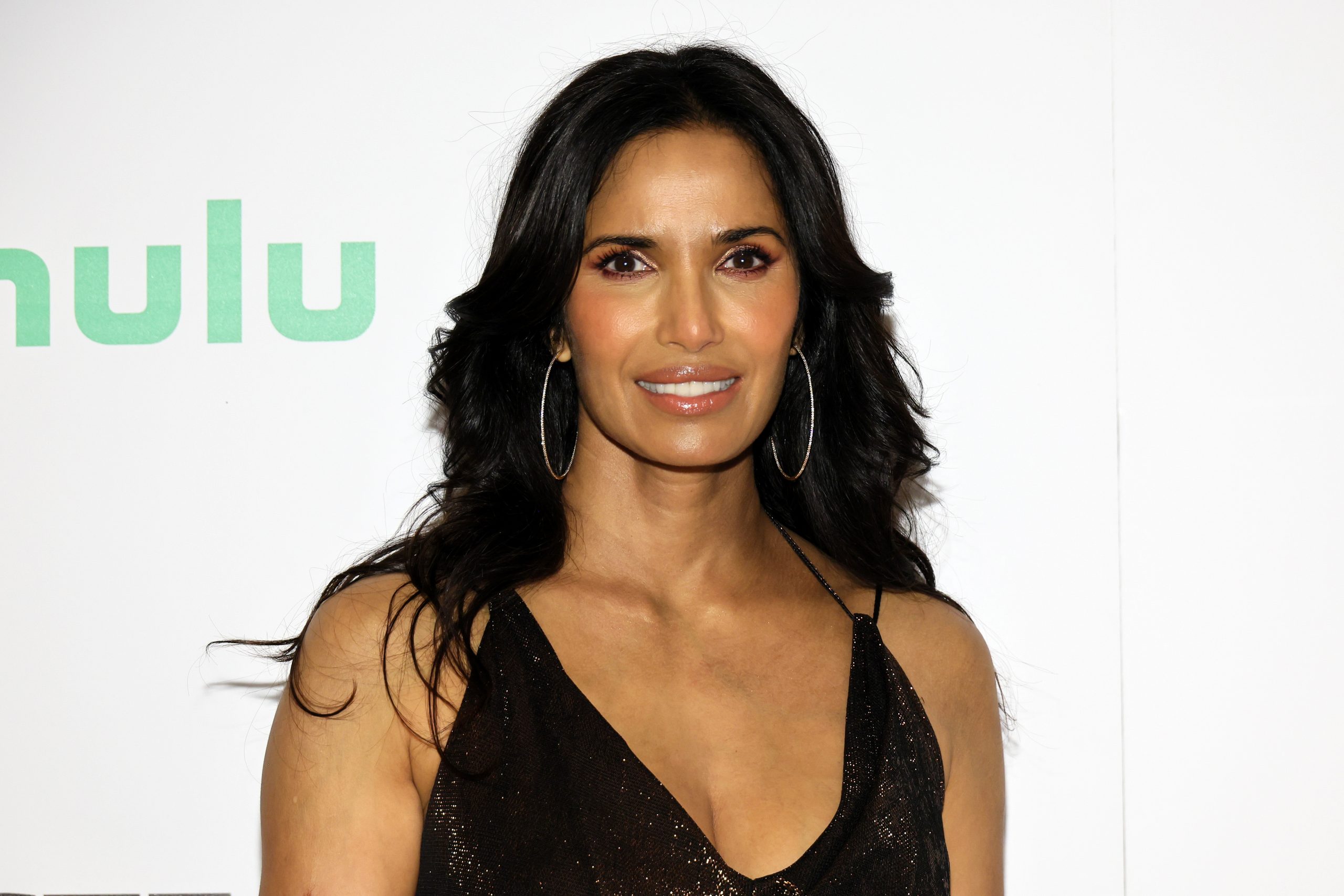 Padma Lakshmi Net Worth Wiki, Age, Weight and Height, Relationships