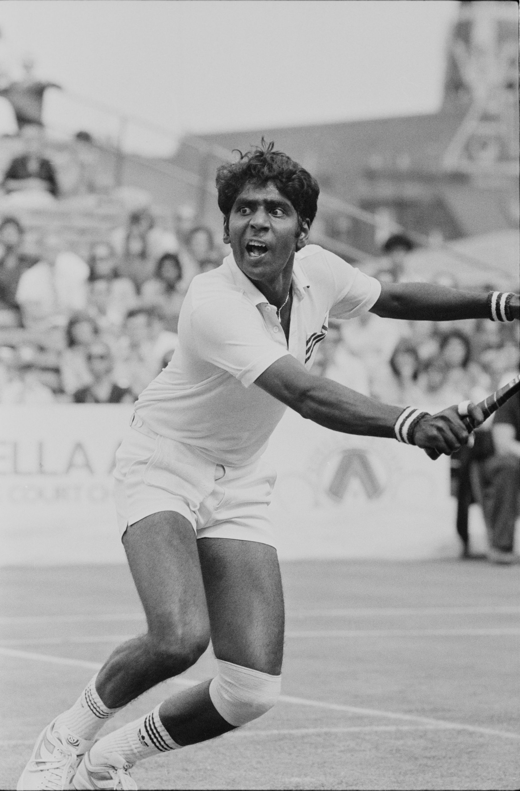 Vijay Amritraj Net Worth - Wiki, Age, Weight and Height, Relationships(03)