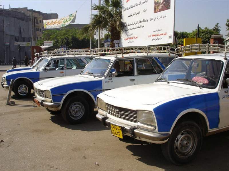 Taxi Egypt Local Guide Luxor, Aswan, red sea, Cairo, Hurghada