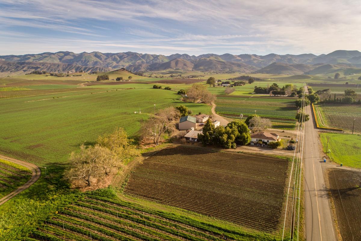 PEACEFUL COUNTRY LIVING California Luxury Homes