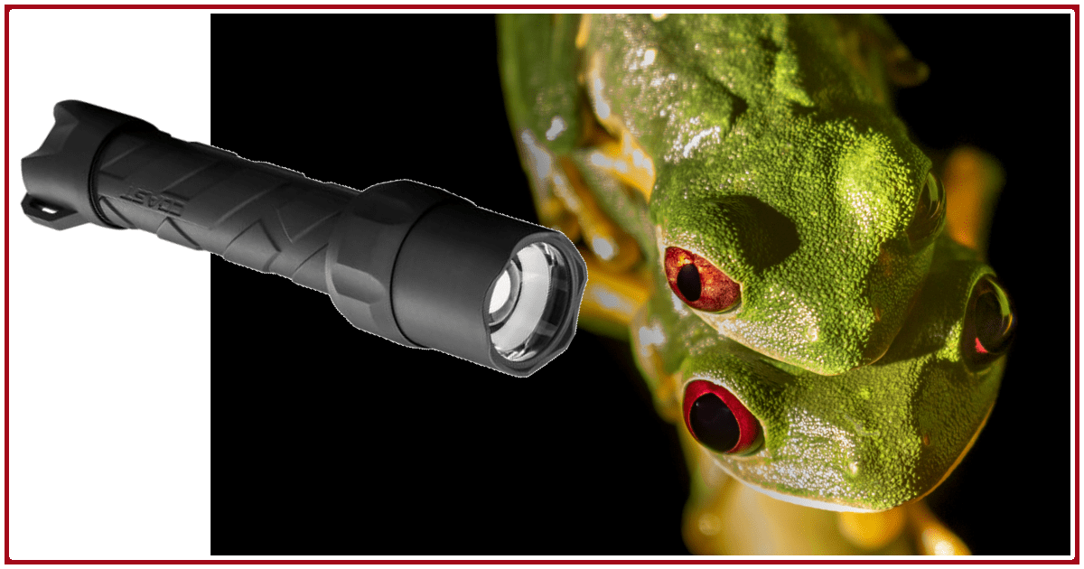 Two Photography Flashlights You Have to Own Lux Umbraque Light and