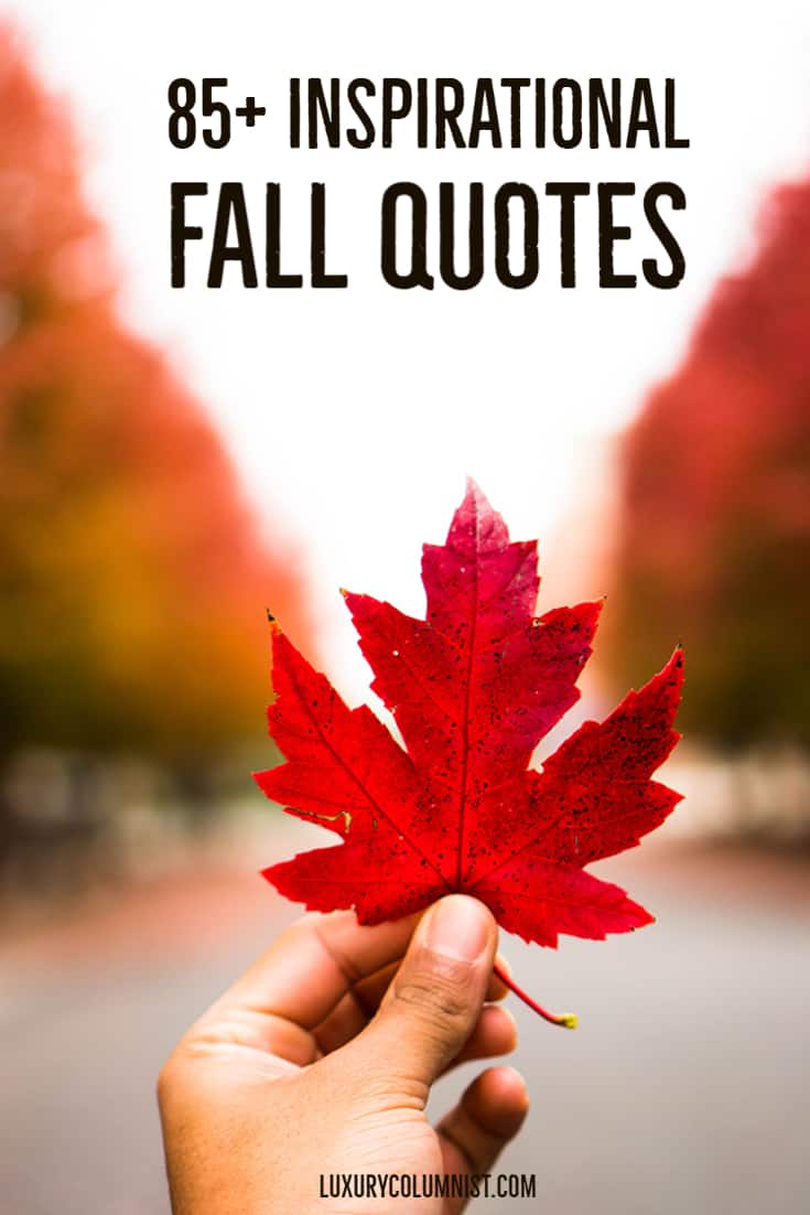 85+ Inspirational Fall Quotes Short, Happy And Funny Autumn Sayings
