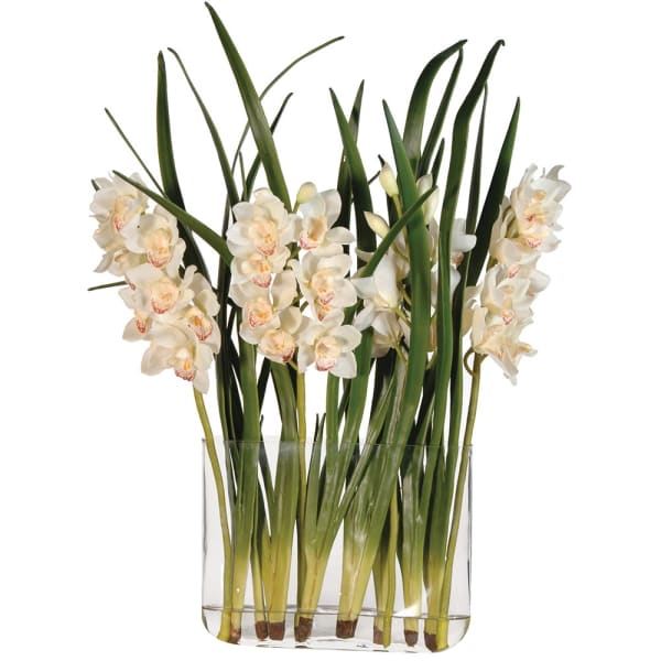 Cream Orchid Cymbidium & Leaves Arrangement in Glass Vase Luxury Garland