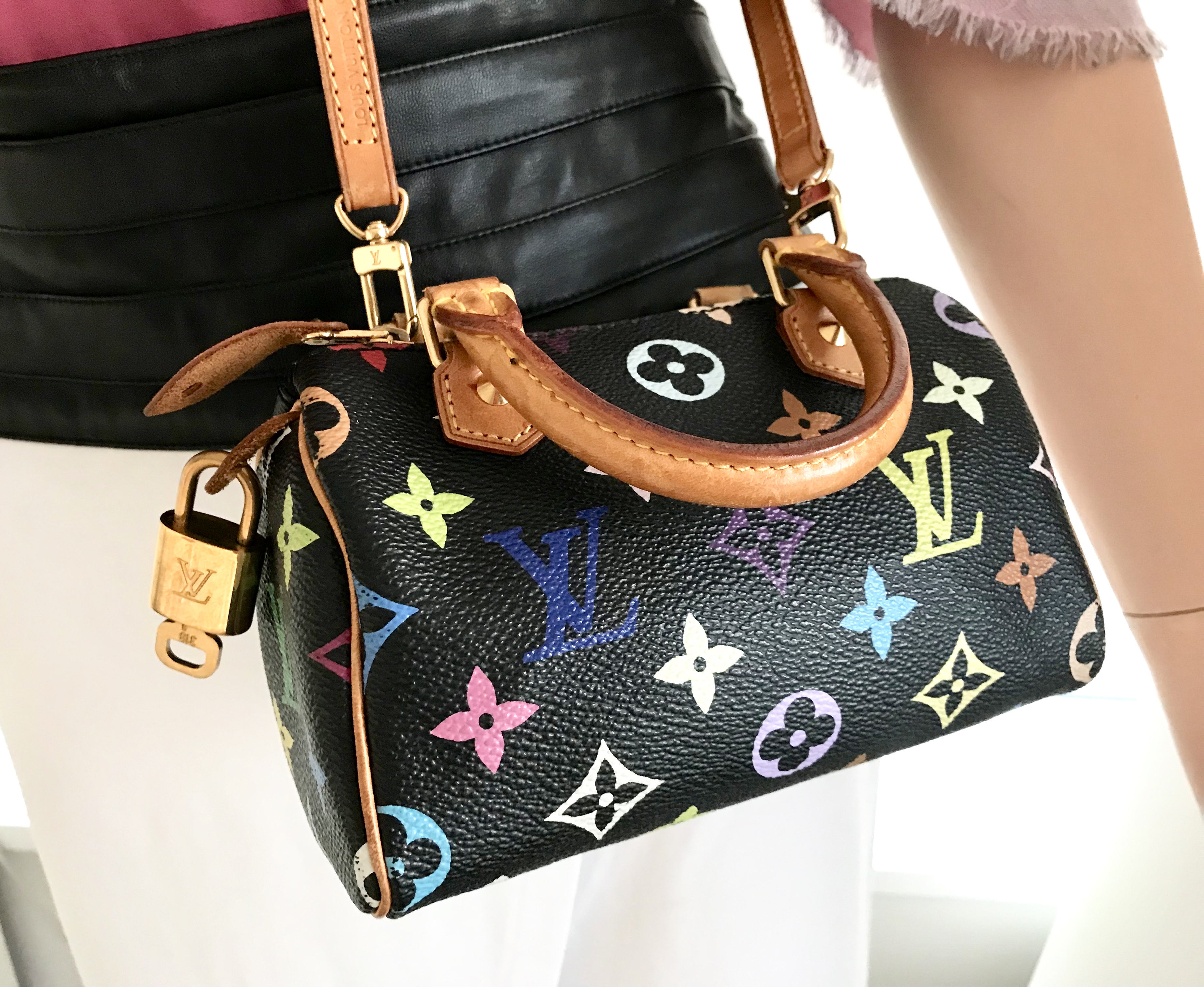 Louis Vuitton Black Multicolor Mini Speedy Nano Handbag