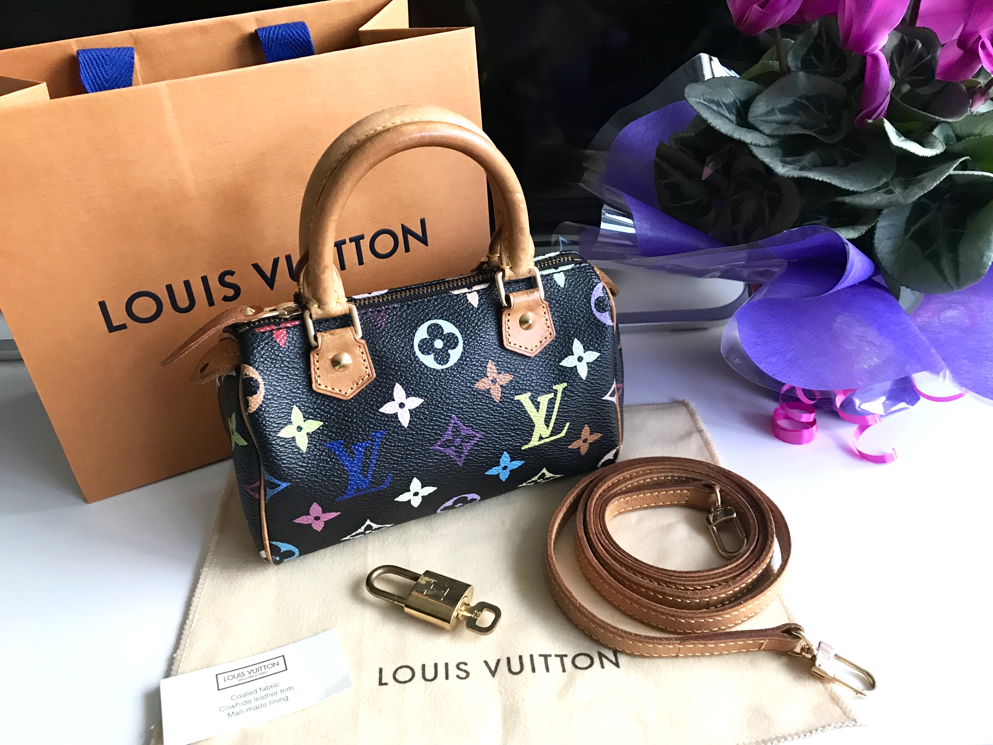 Louis Vuitton Black Multicolor Mini Speedy Nano Handbag