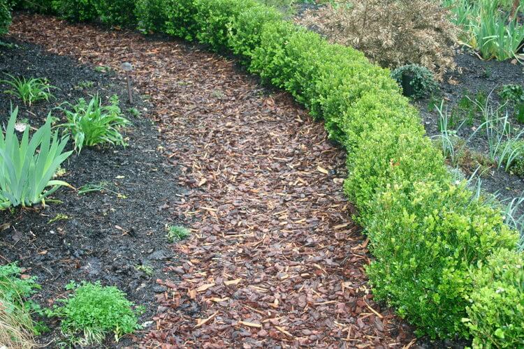 Pine Nuggets Lawrenceville GA Mulch Services Pine Mulch Near Me