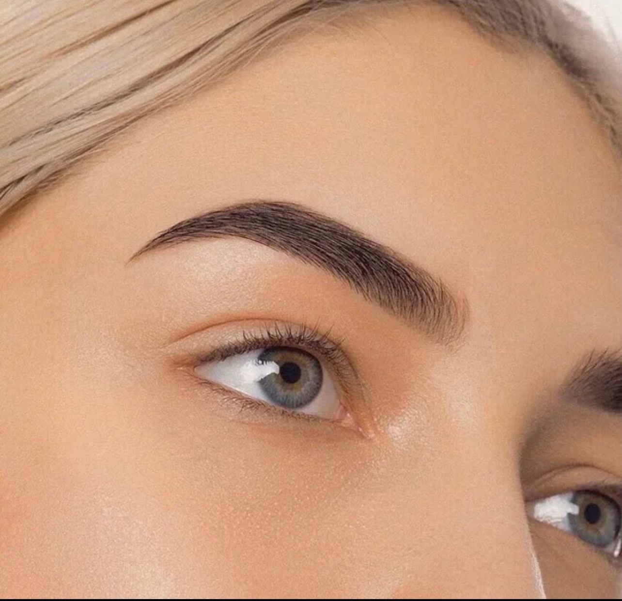 Eyebrow Shape And Tint Luxury Lashes