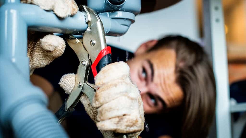 What Landlords Need to Know About Letting to Student Tenants Luxury