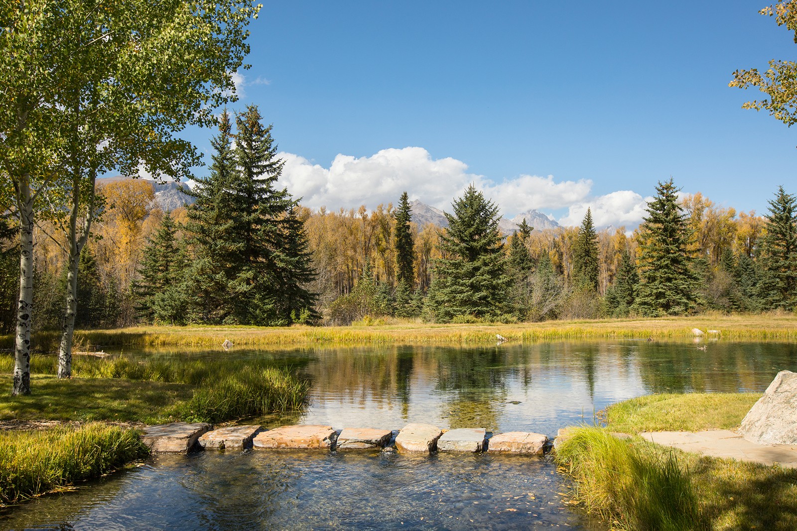 7555 BAR B BAR RIVER ROAD Luxury Pulse Real Estate United States