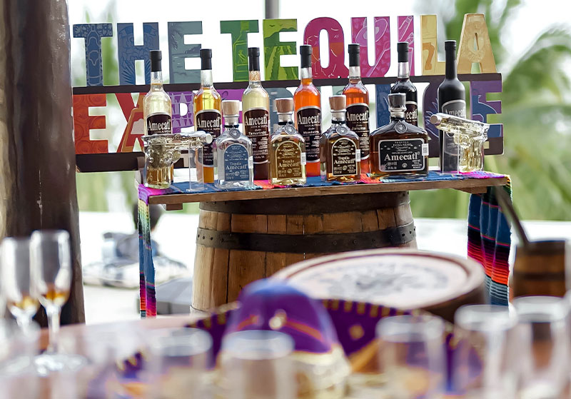 Luxury experiences in Punta de Mita VIP Activities in Punta de Mita