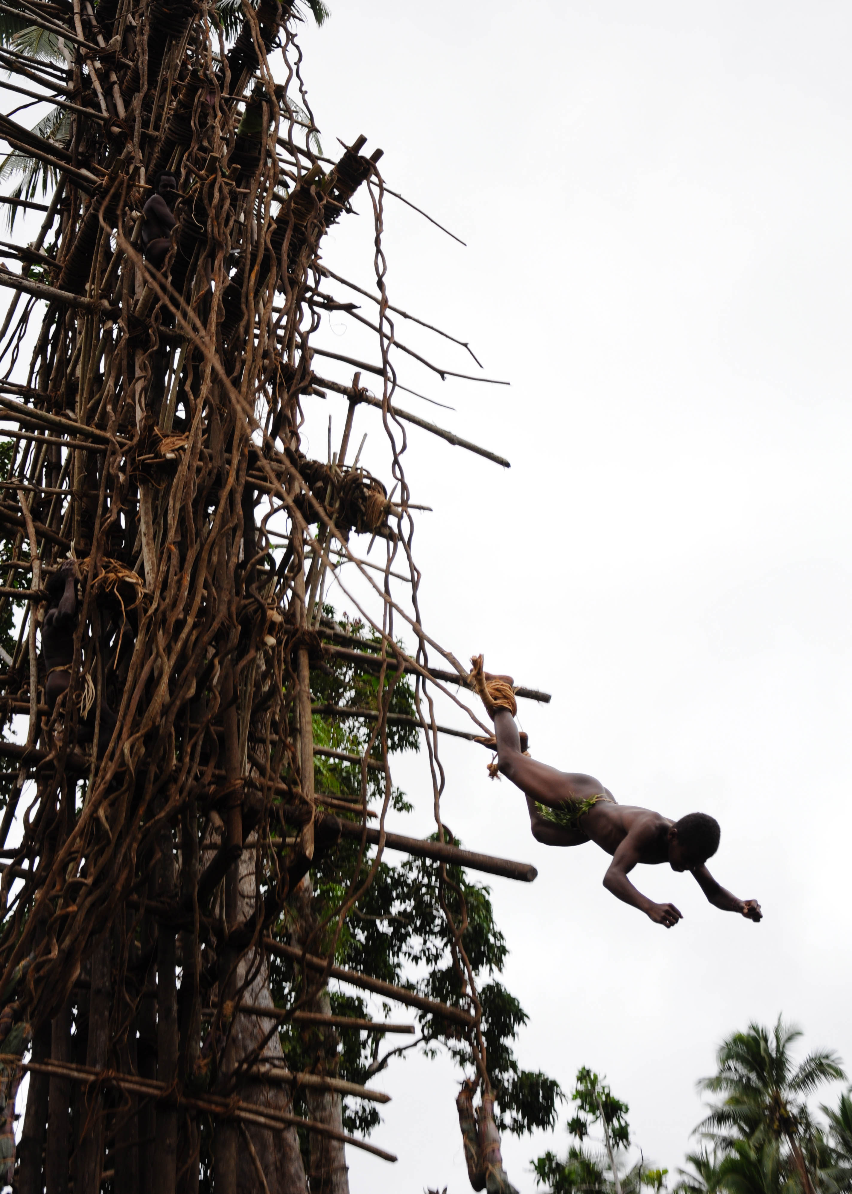 Land diving on Pentecost Island Luzanne Fletcher