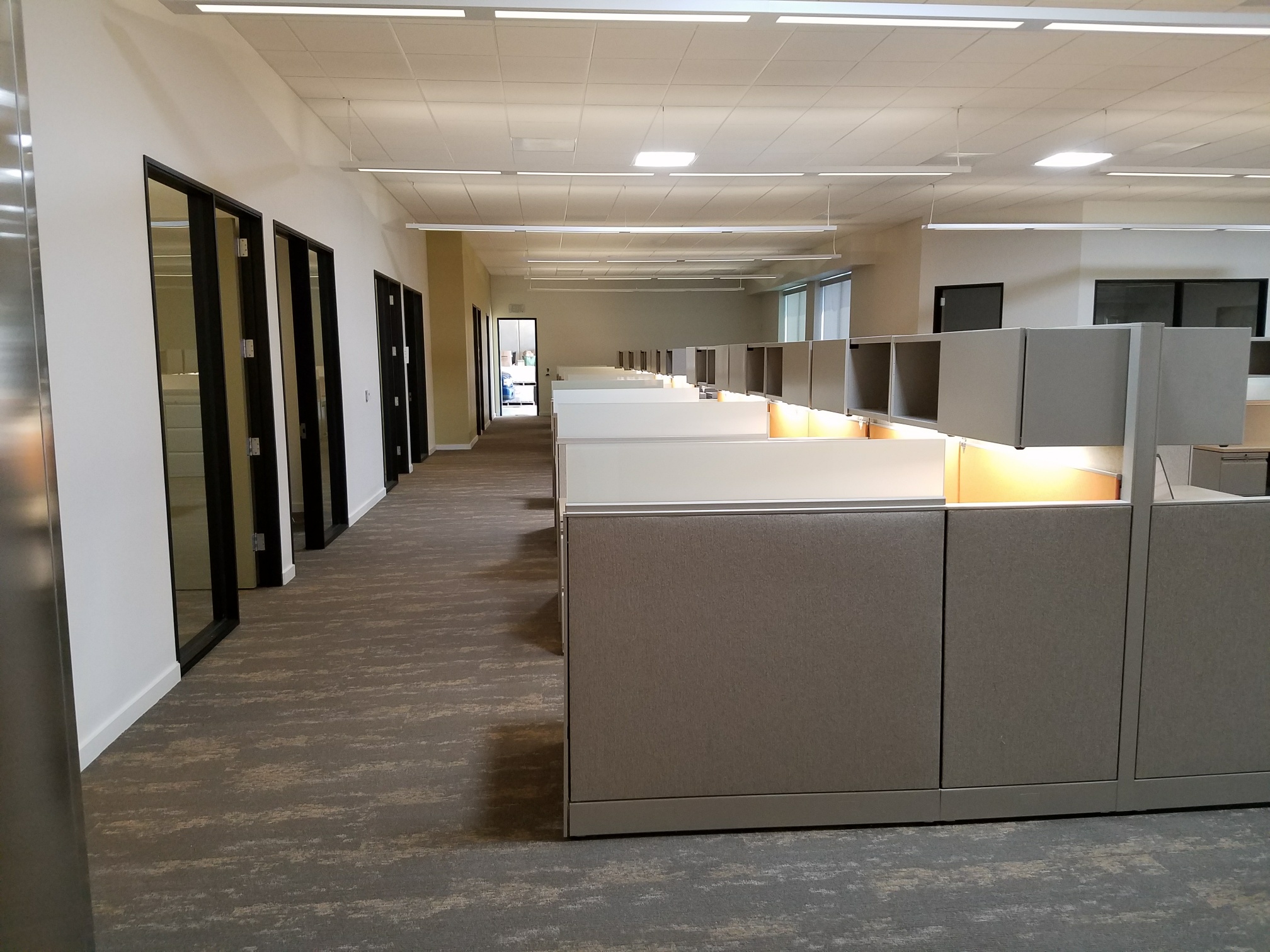 Mariposa Landscape Headquarters LV Construction, Inc.