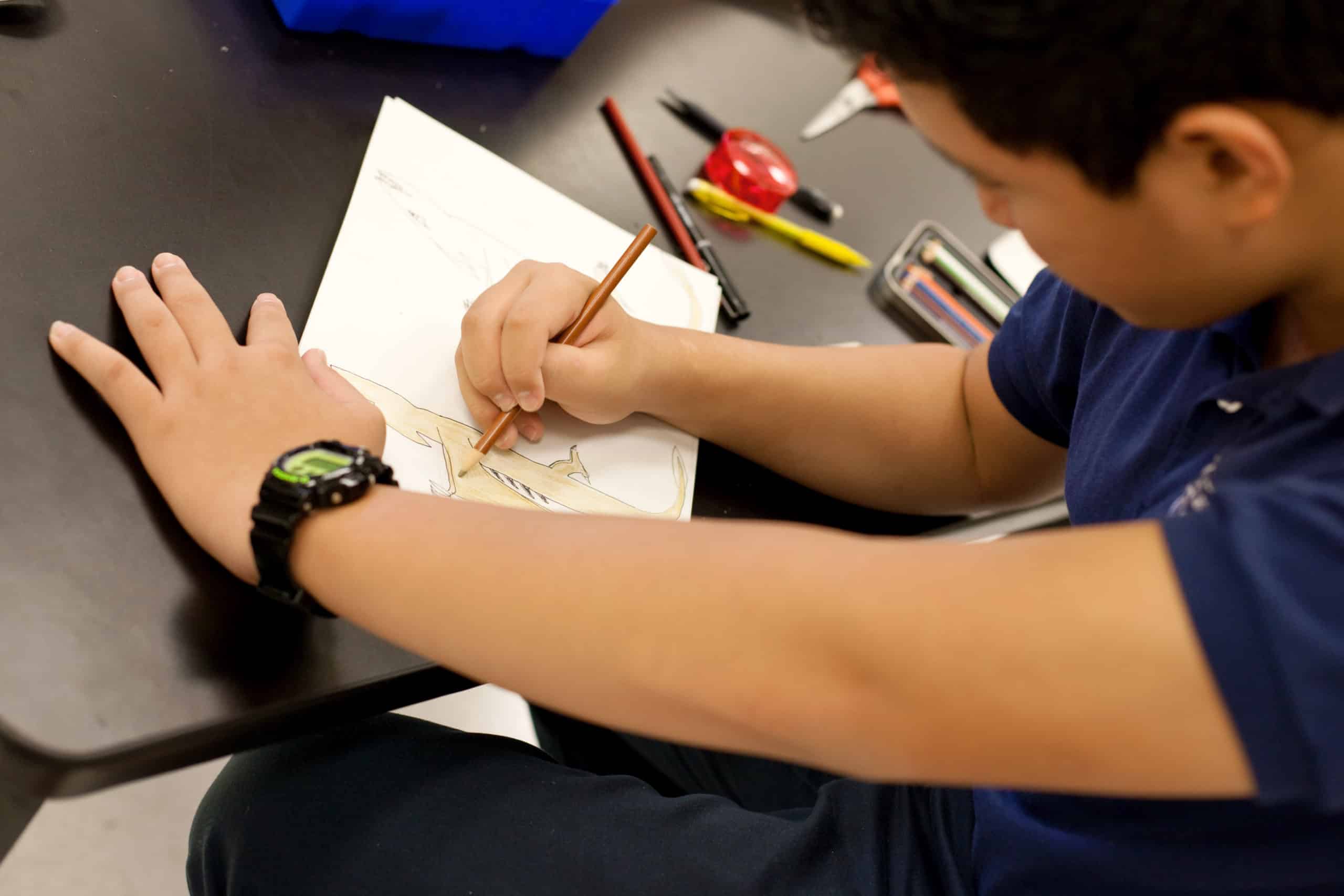 Student Activities Las Vegas Day School Private School