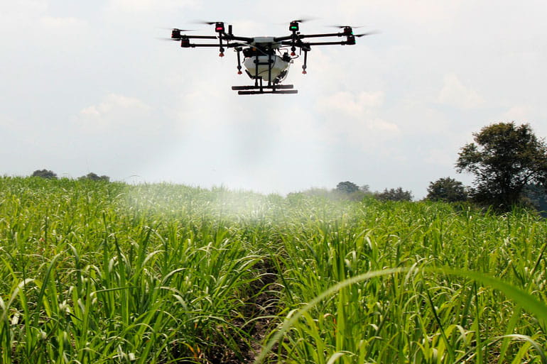 IoT in Agriculture 7 Practical Uses of the Technology