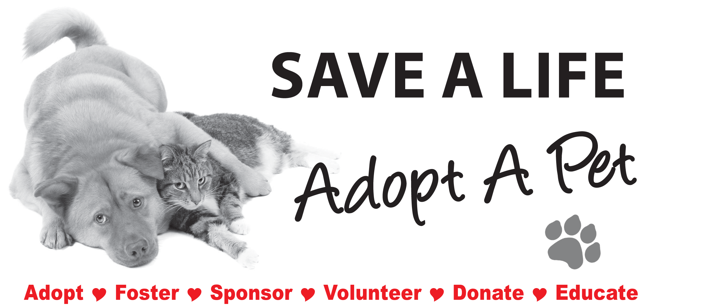 CANINE RESCUES Animal Rescues & Shelters Las Vegas Pet Scene Magazine