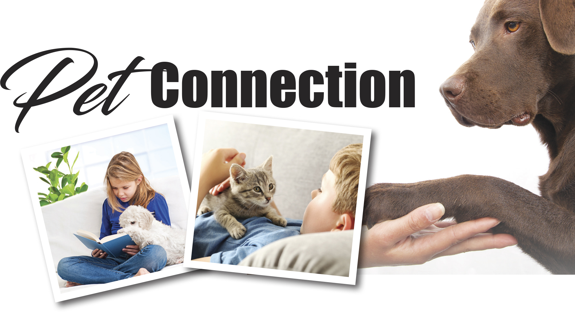 Pet Connection