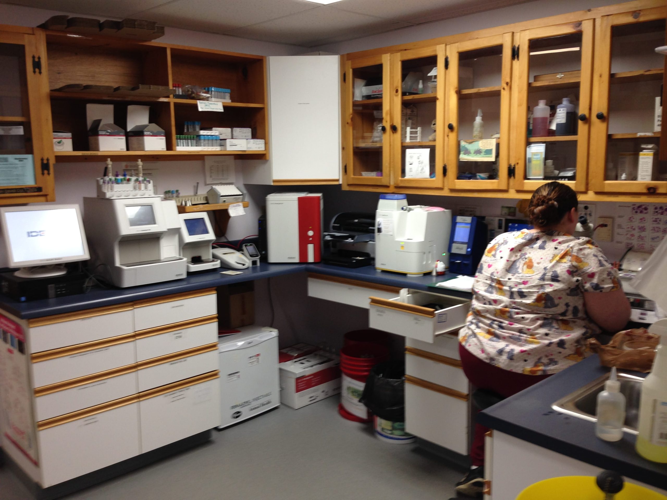 Veterinarian in Hyde Park, VT Lamoille Valley Veterinary Services