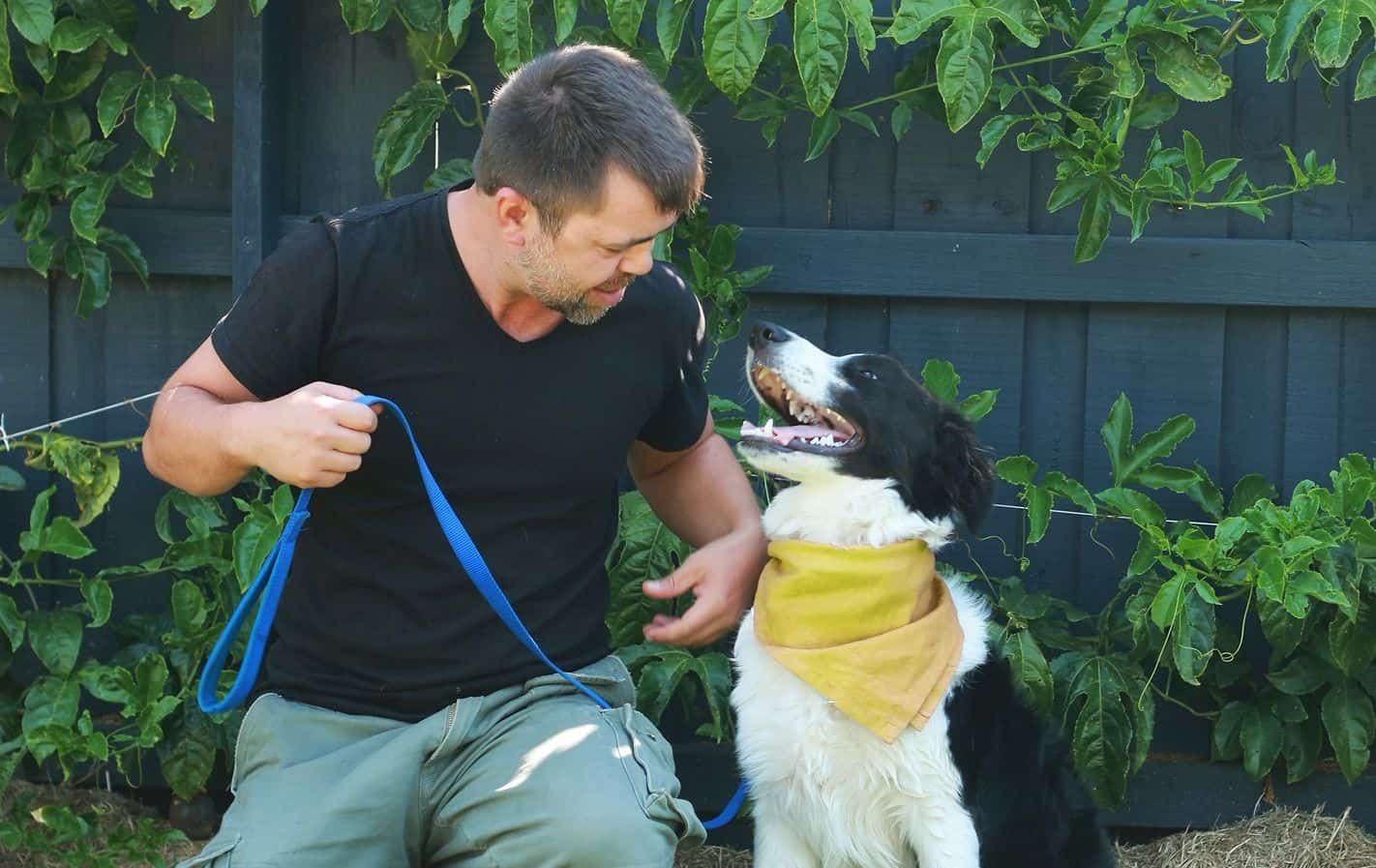 Digital Solutions Business Feature The Pet Nanny