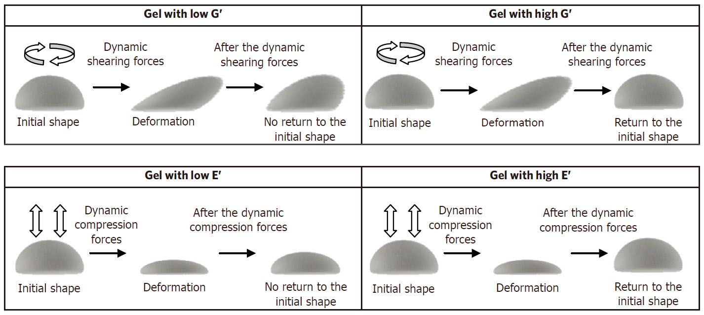 Rheology Unveiled: The Science of Hyaluronic Acid Dermal Fillers