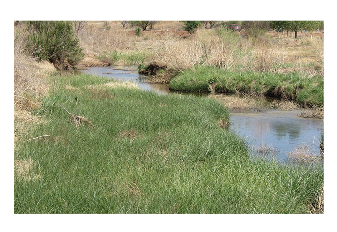 Preserve Development Llc at Courtney Buss blog