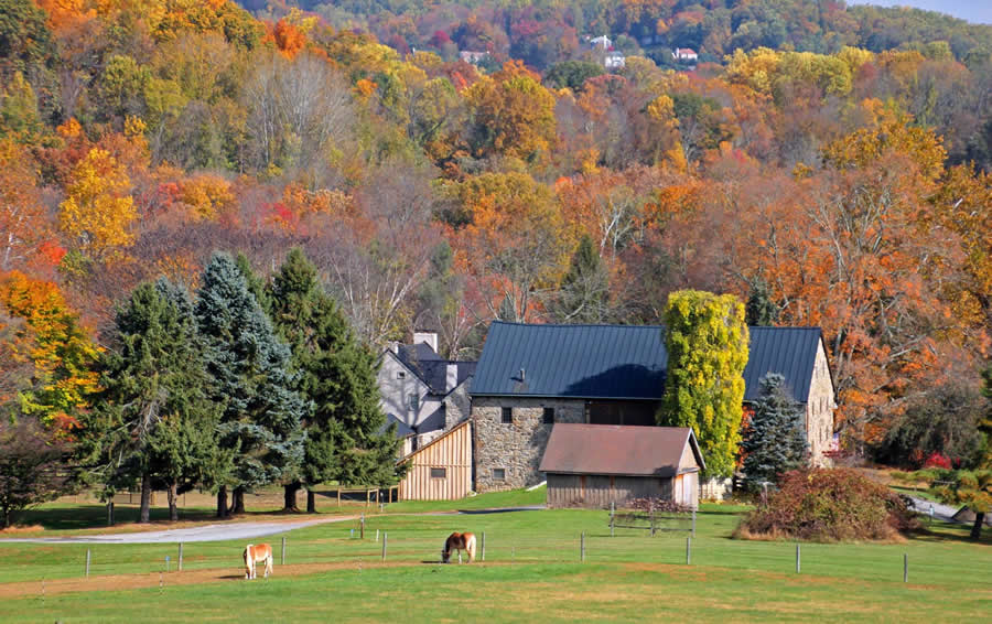 Chester County, PA LWS Dumpsters