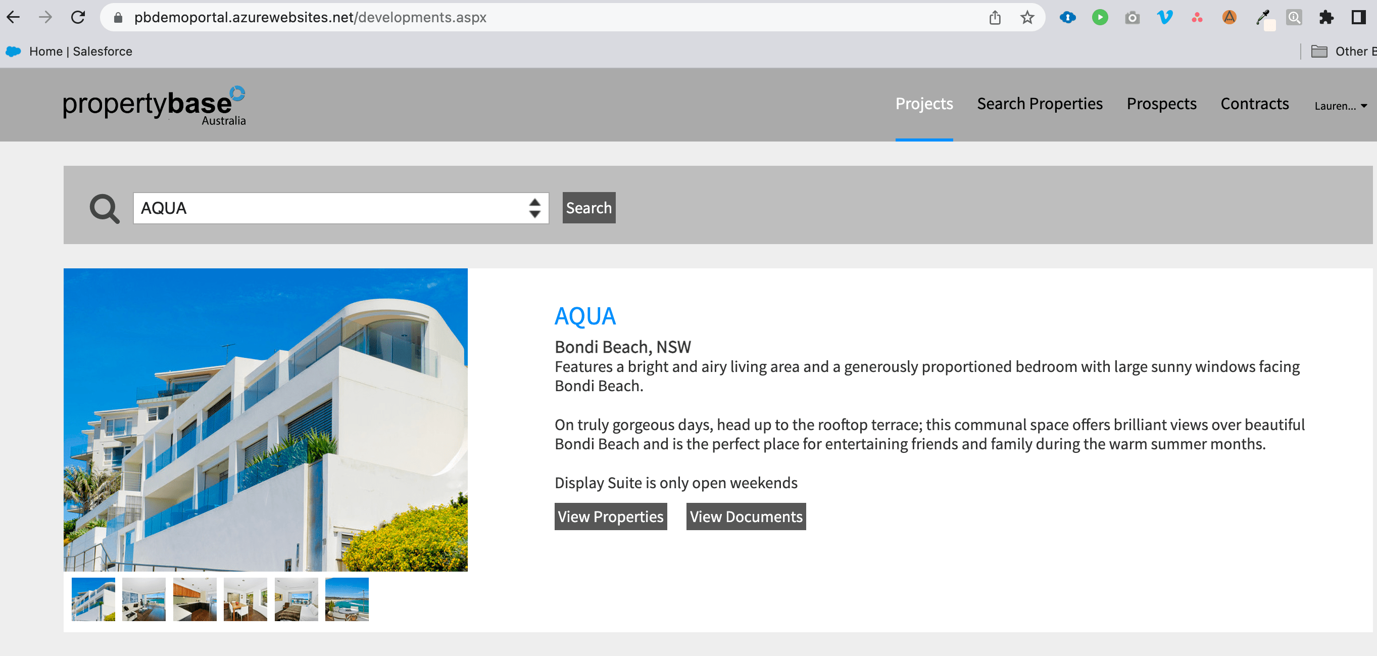External agents portal (Propertybase Salesforce Edition)