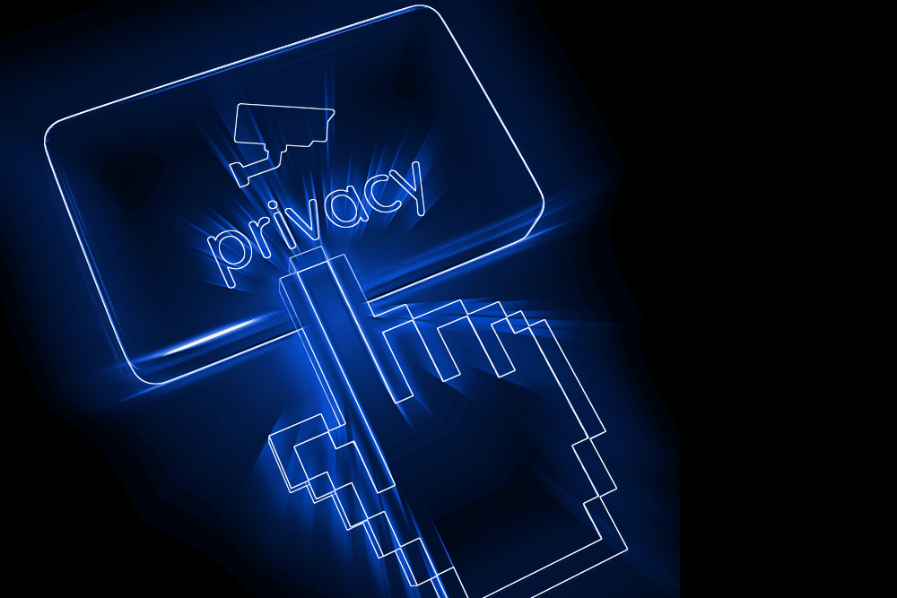 Perfect Privacy Review Ultimate Guide LX Center