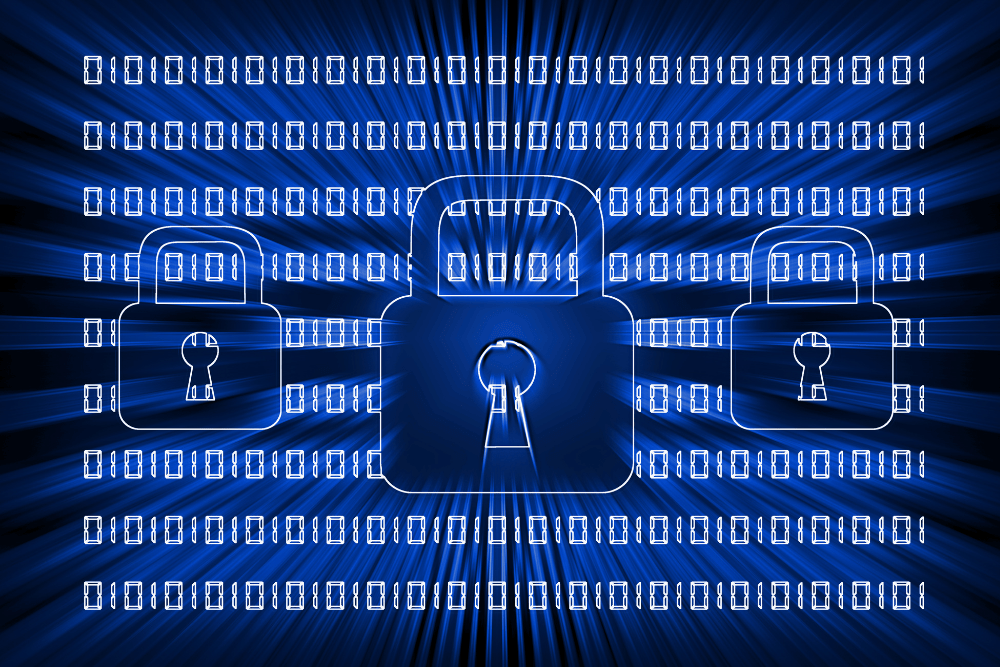 Perfect Privacy Review Ultimate Guide LX Center