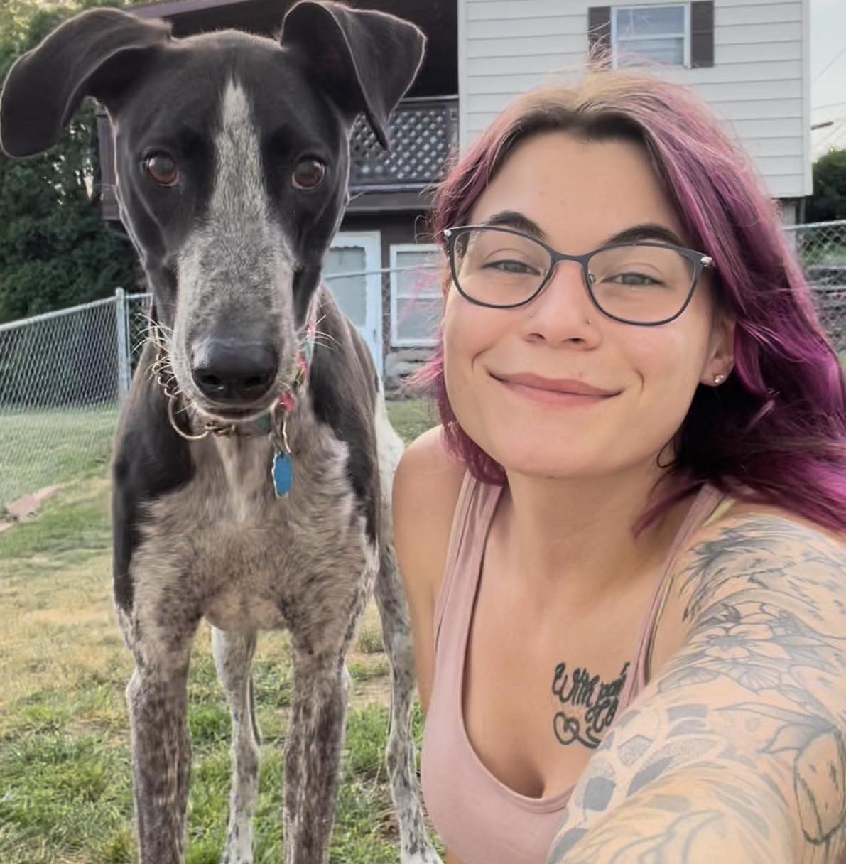 In Memory/In Honor of Donations County SPCA