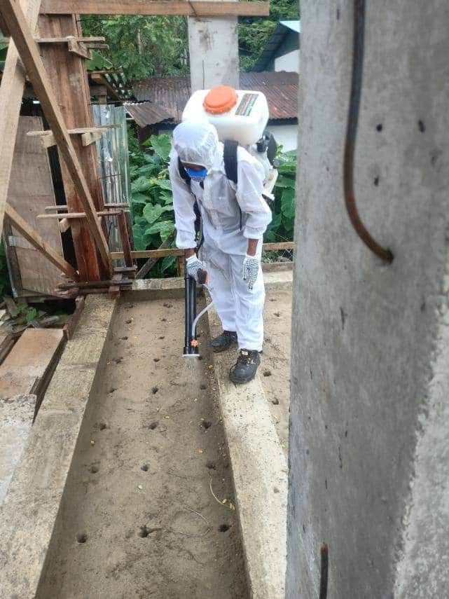 Pest Control Local Yangon Facilities Enterprise