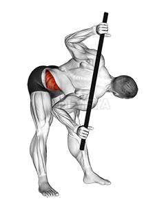 Bent Over Twist - Video Guide | Lyfta