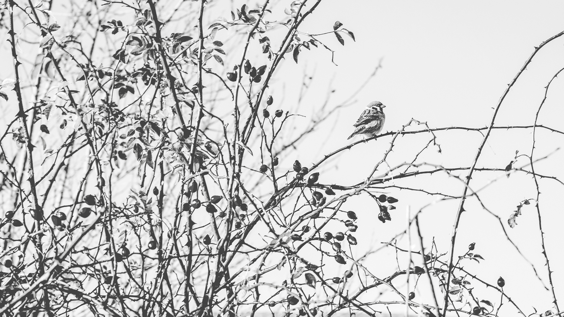 Unique Calming Nature Photography Wall Art Prints Store Lying On