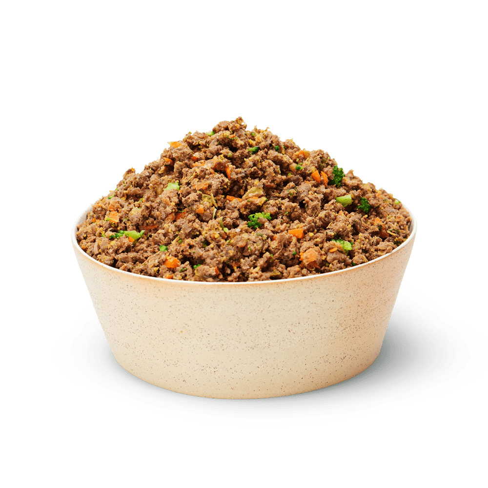 Grainfree, Fresh & Healthy Beef Dog Food Delivery Lyka Pet Food