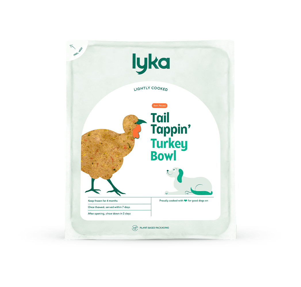 Fresh & Healthy Turkey Dog Food Delivery Lyka Pet Food