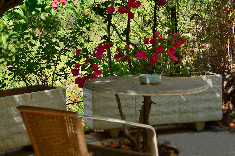 Christina Apartments Photo Gallery ithaca greece