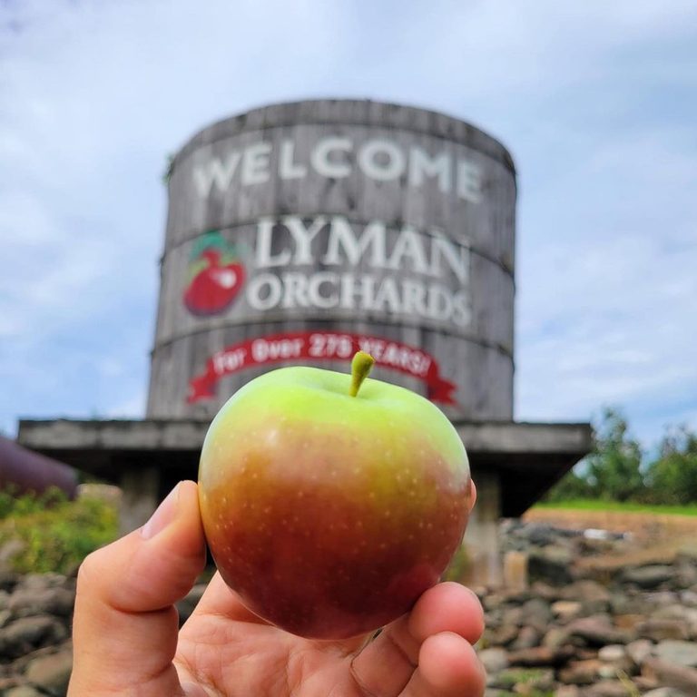 Reader’s Digest The Best Place to Go Apple Picking in Every State