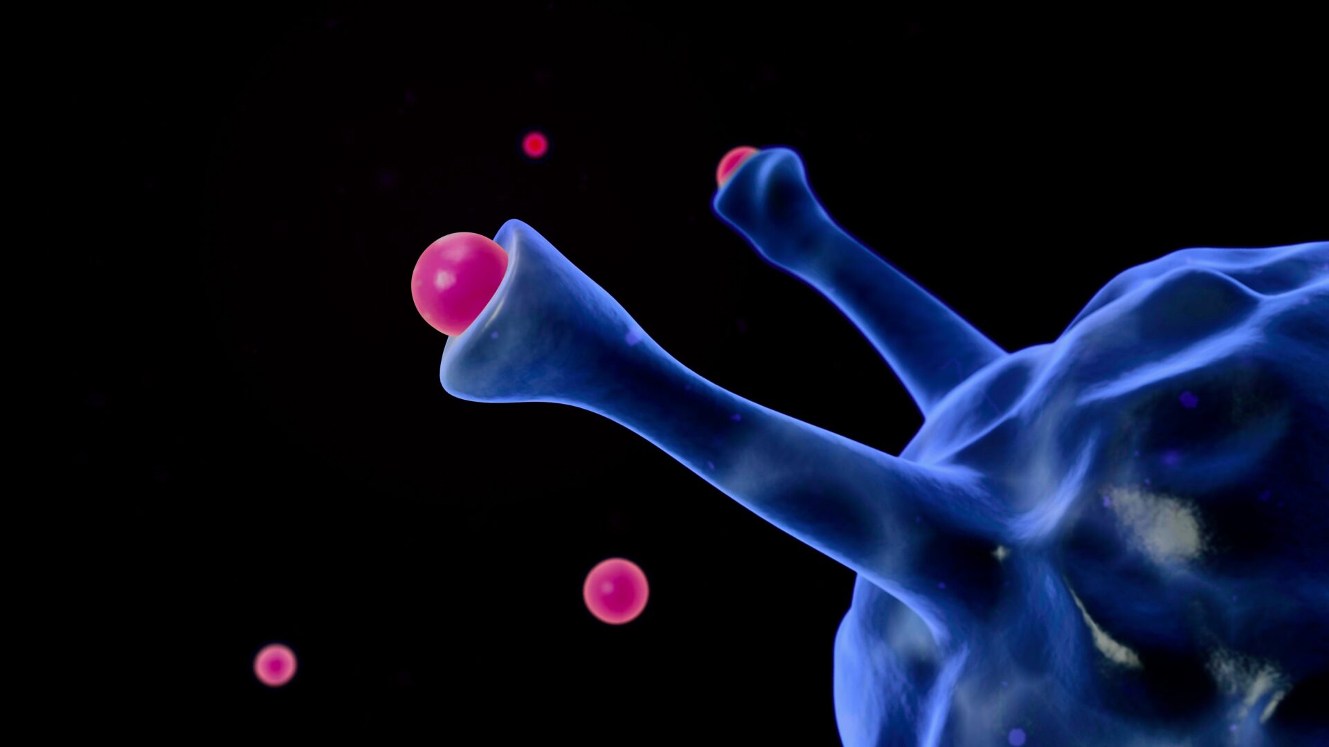 ALPHAGAL IN DETAIL LYMETV