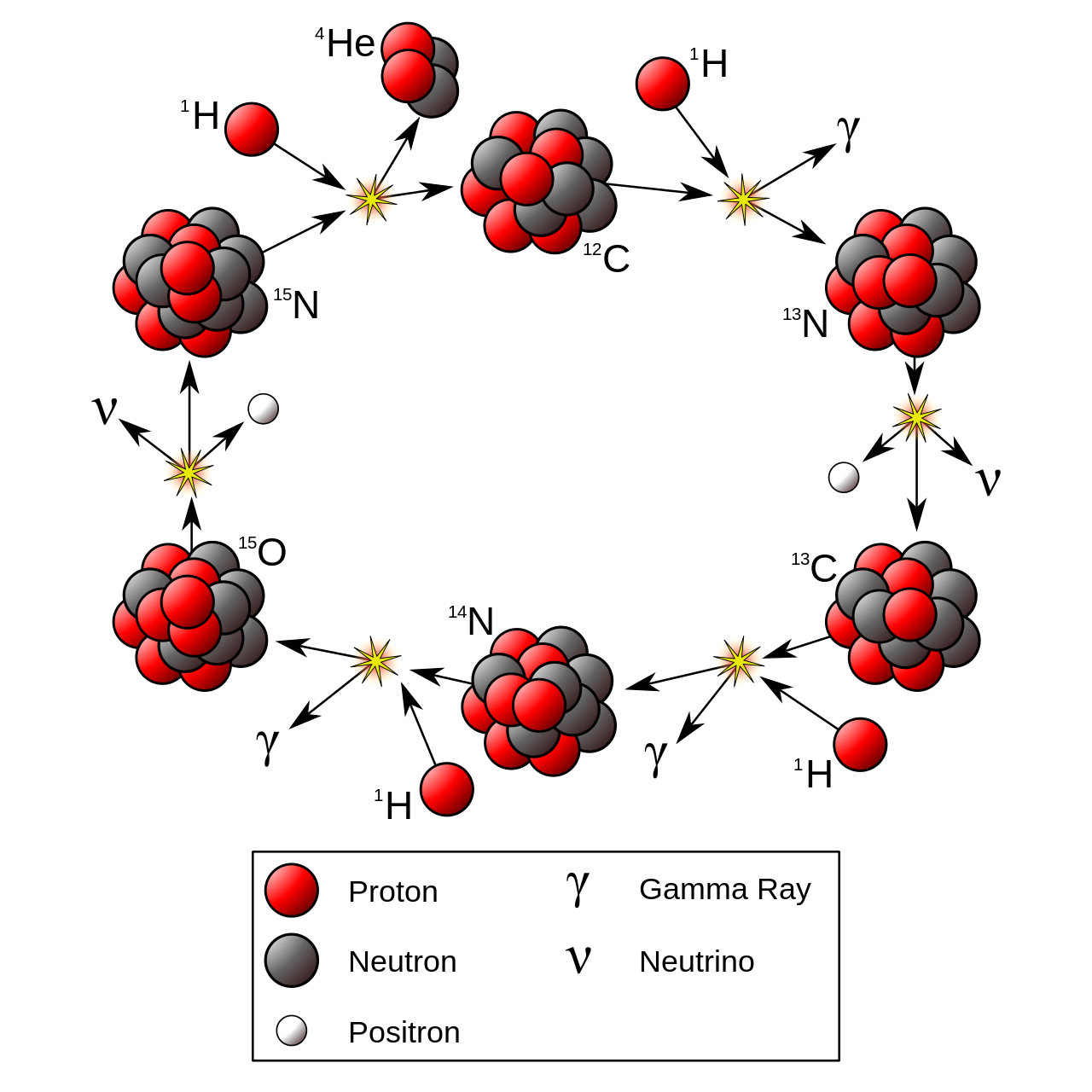 carbonnitrogenoxygen cycle The Lyncean Group of San Diego
