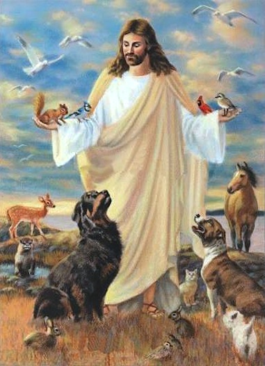 25 Encouraging Bible Verses for the Loss of a Pet