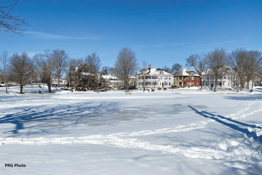 Lynn in the Snow Lynn Journal