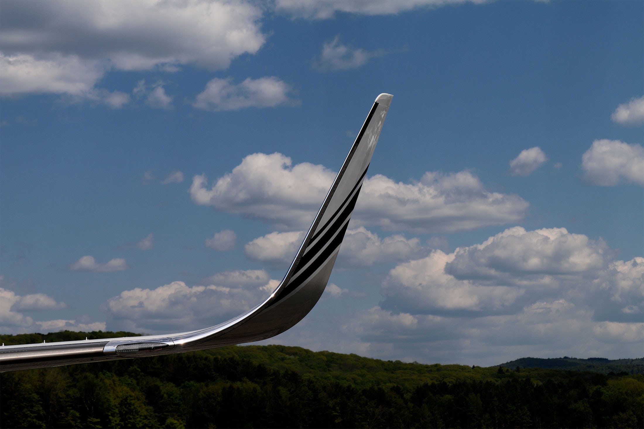 wingtip Lyon Aviation Air Charter Services