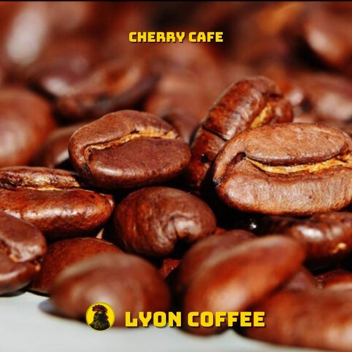 Top 11 tên các loại hạt cà phê ngon nổi tiếng tại Việt Nam